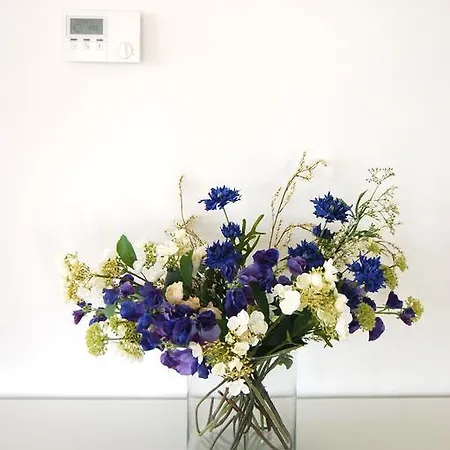 Вилла Coucou Les Amis