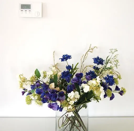 Villa Coucou Les Amis