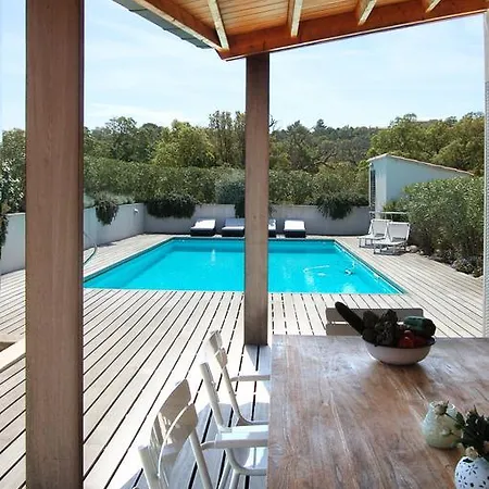 Coucou Les Amis Sainte-Lucie de Porto-Vecchio