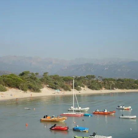 فيلة Coucou Les Amis *